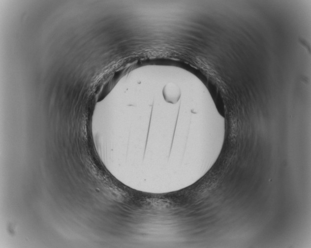 X0000099540681200806131149