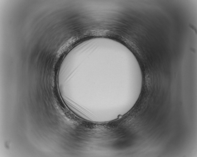 X0000099540682200806131149