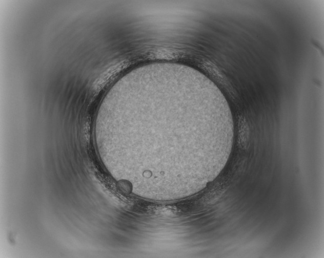 X0000099540683200806131149