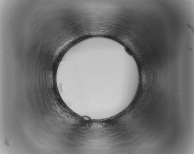 X0000099540684200806131149