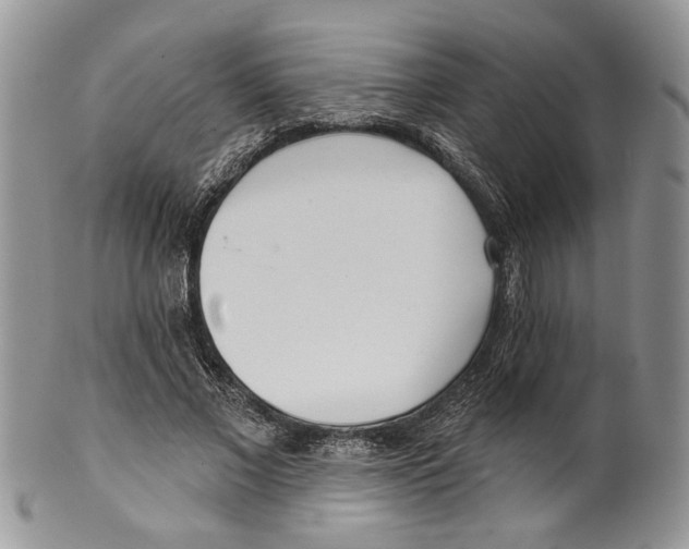 X0000099540685200806131149