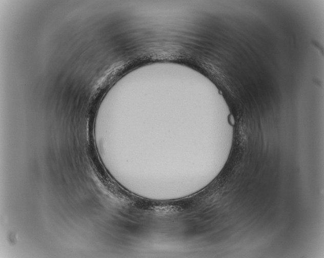 X0000099540686200806131149