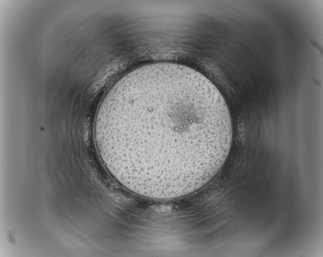 X0000099540687200806131149