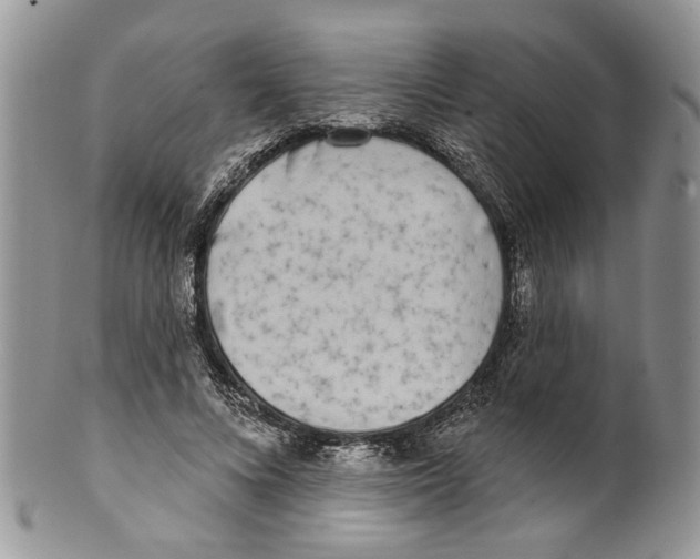 X0000099540688200806131149