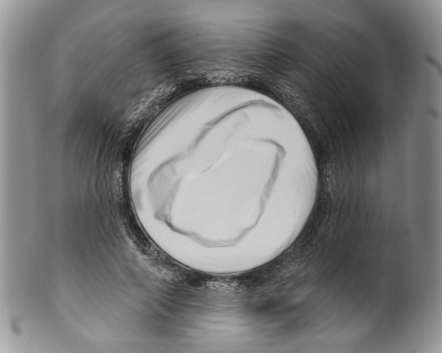 X0000099540690200806131149