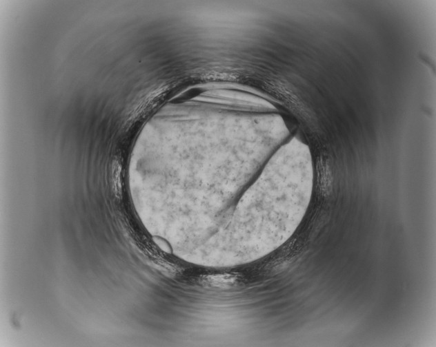 X0000099540692200806131149