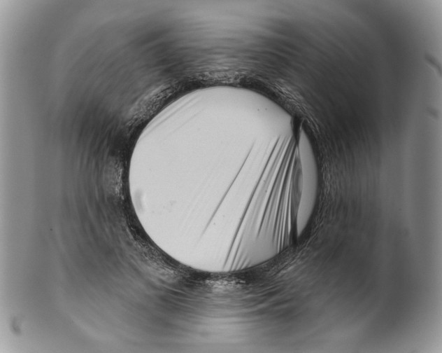 X0000099540693200806131149