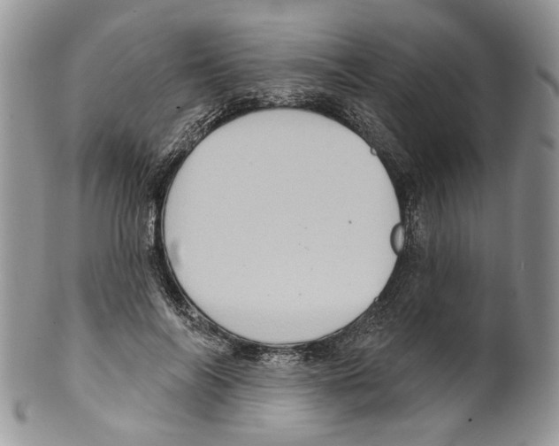 X0000099540694200806131149