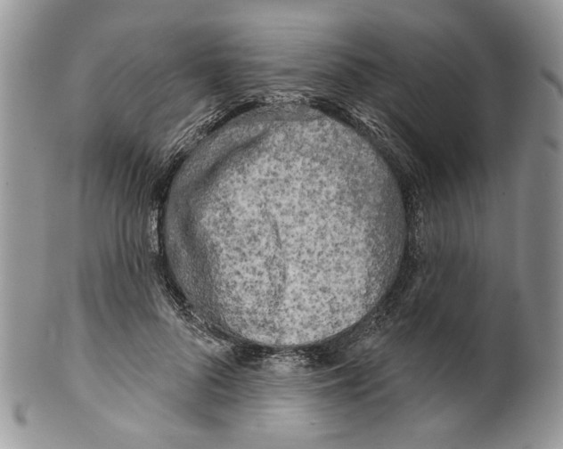 X0000099540696200806131149