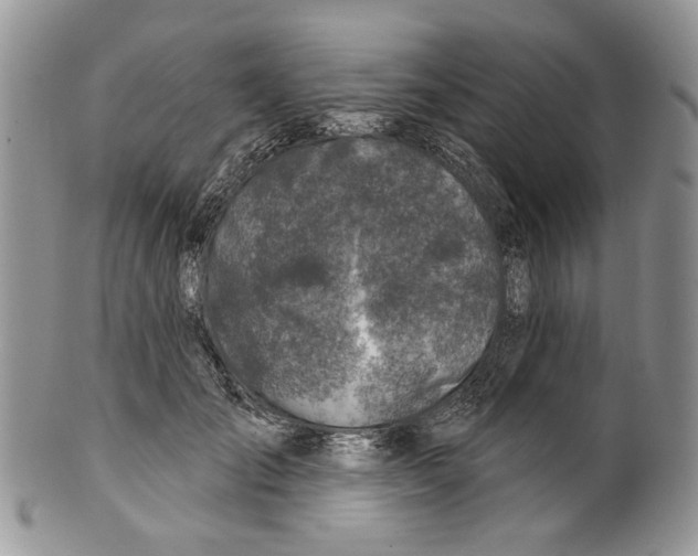 X0000099540701200806131149