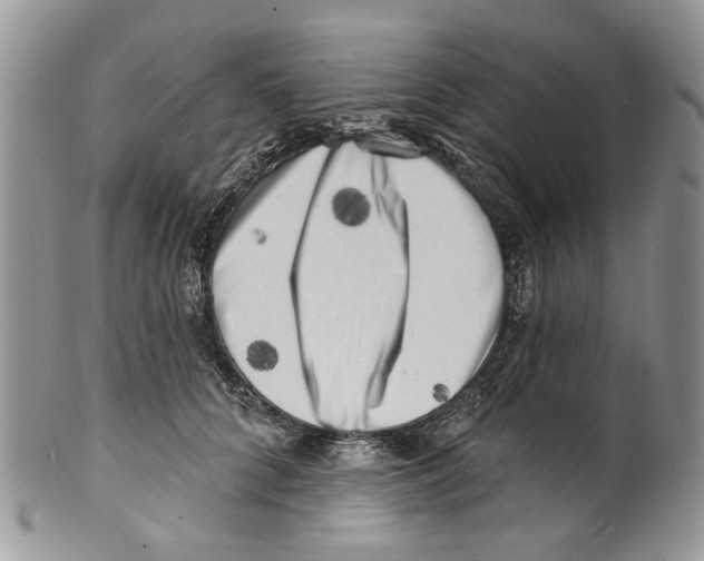 X0000099540704200806131149