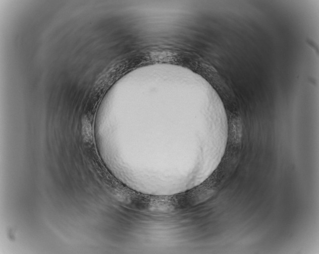 X0000099540705200806131149