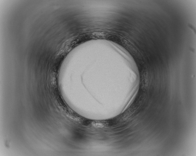 X0000099540706200806131149