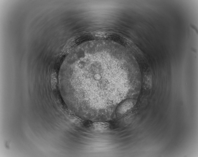 X0000099540707200806131149