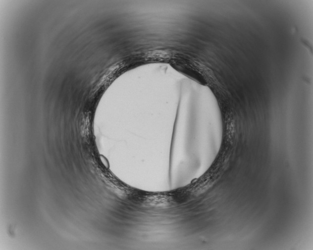 X0000099540708200806131149