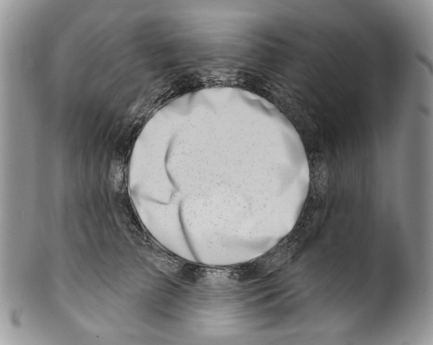 X0000099540709200806131149