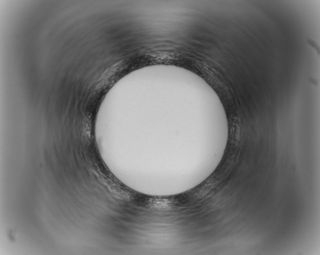 X0000099540710200806131149