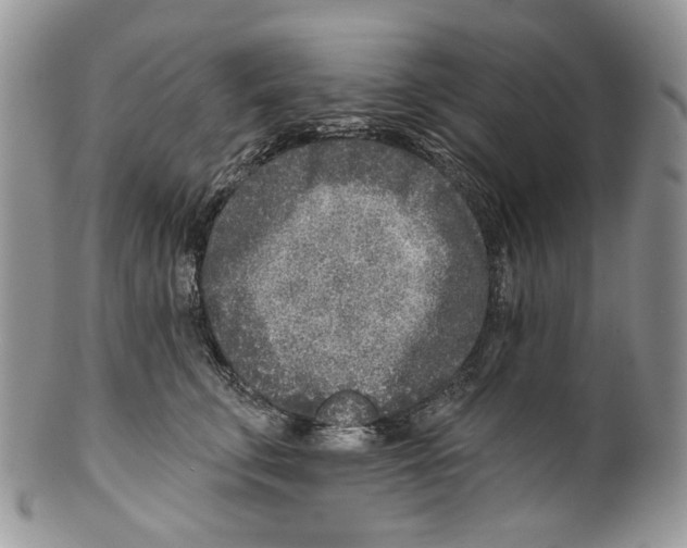 X0000099540711200806131149