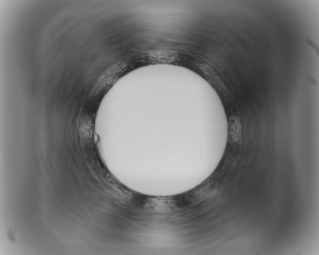 X0000099540713200806131149