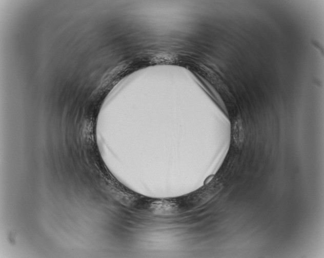 X0000099540714200806131149