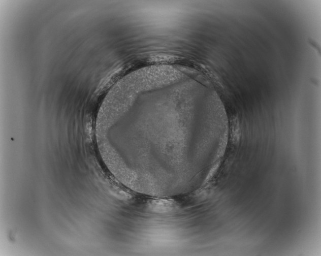 X0000099540716200806131149