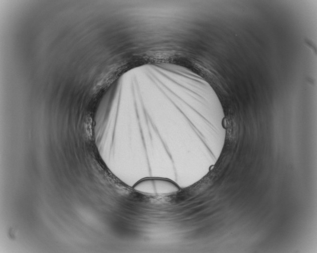 X0000099540718200806131149