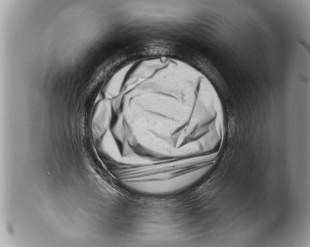 X0000099540722200806131148