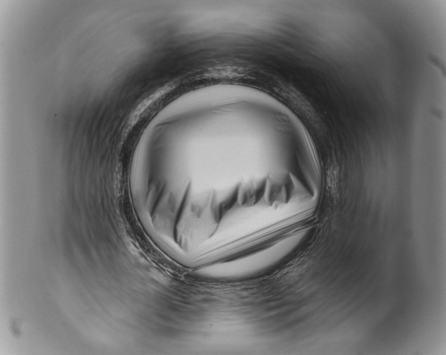 X0000099540724200806131148