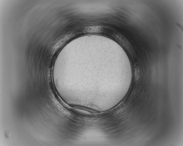 X0000099540725200806131148