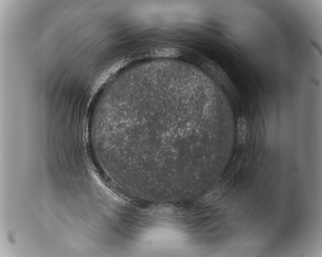 X0000099540726200806131148