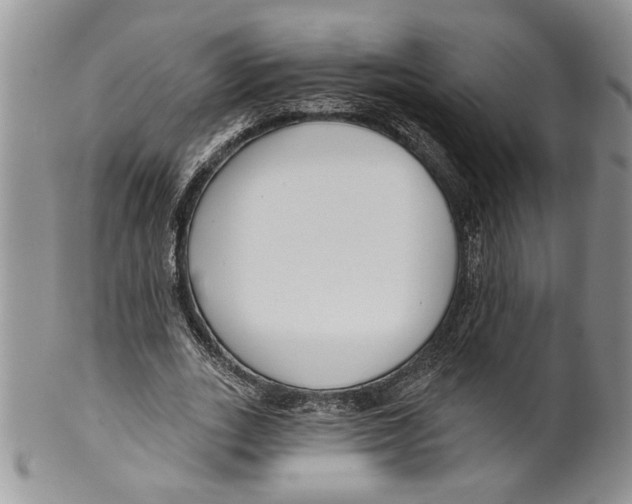 X0000099540727200806131148