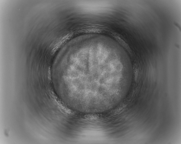 X0000099540729200806131148