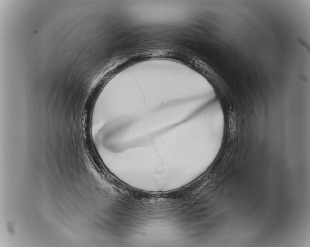 X0000099540730200806131148