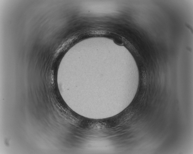 X0000099540731200806131148