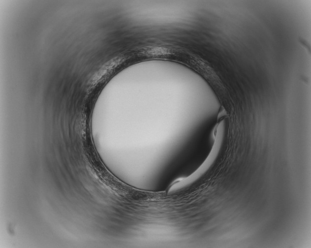 X0000099540732200806131148