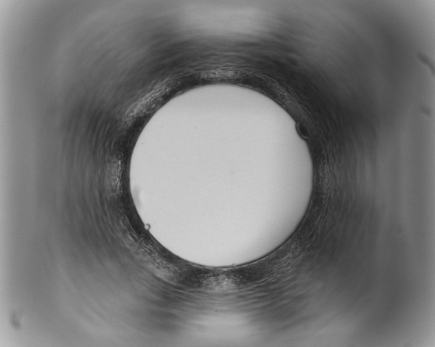 X0000099540735200806131148