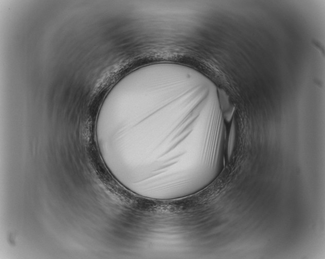 X0000099540736200806131148