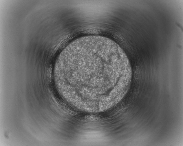 X0000099540739200806131148