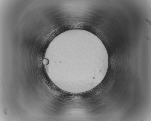 X0000099540741200806131148