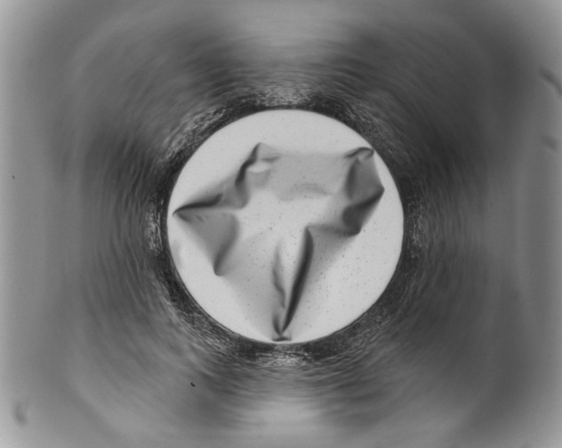 X0000099540743200806131149