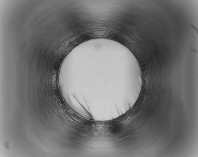 X0000099540745200806131149