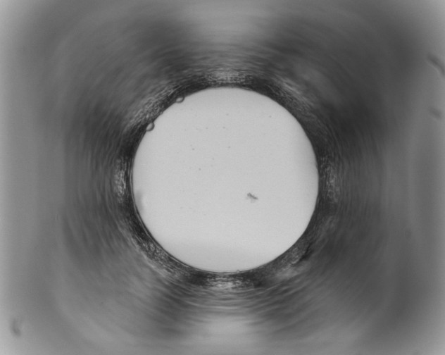 X0000099540746200806131149