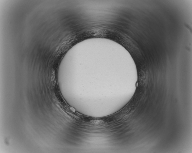 X0000099540748200806131149