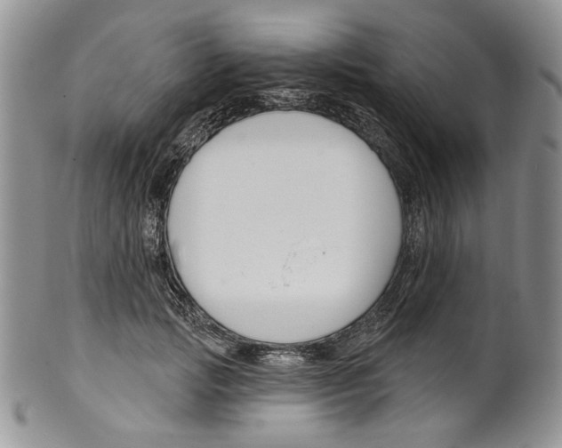 X0000099540749200806131149