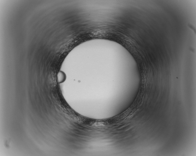 X0000099540751200806131149