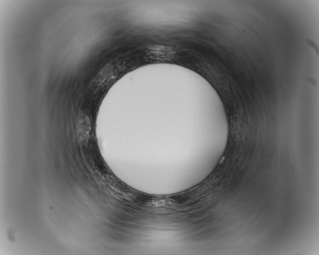 X0000099540752200806131149