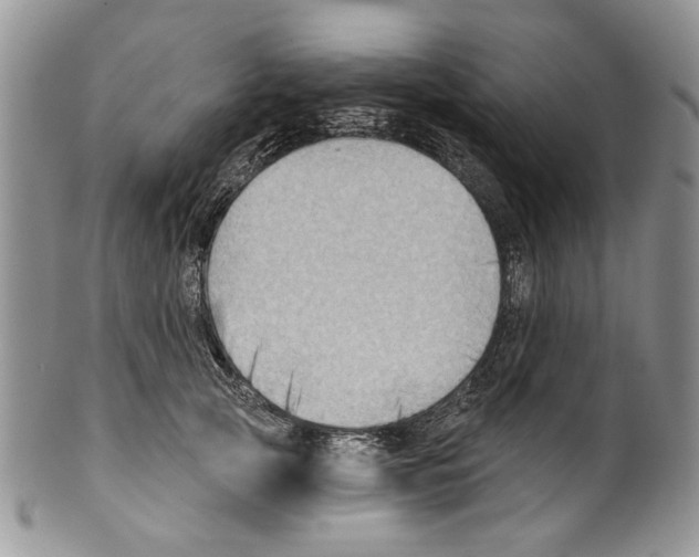 X0000099540753200806131149