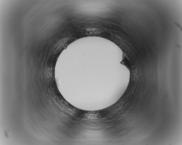 X0000099540756200806131149