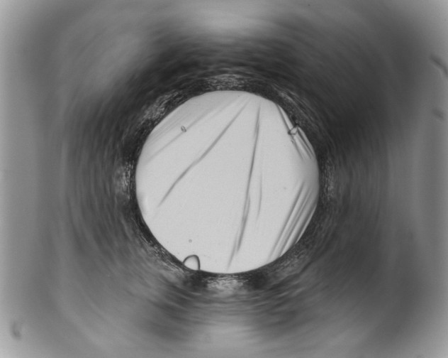 X0000099540759200806131149