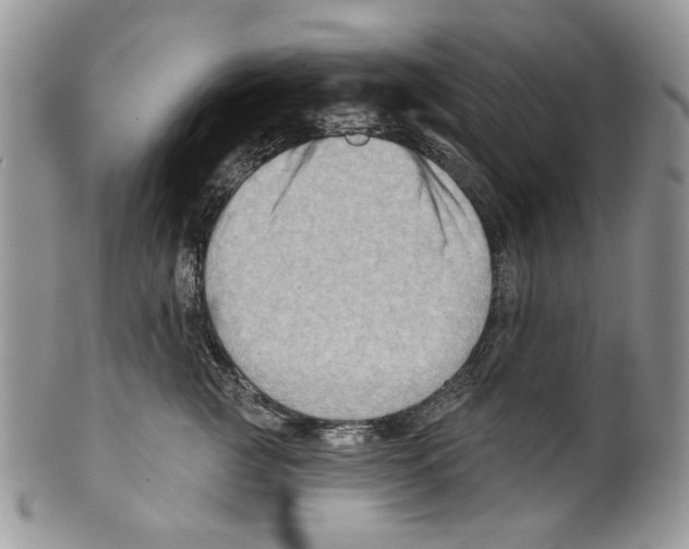 X0000099540761200806131149